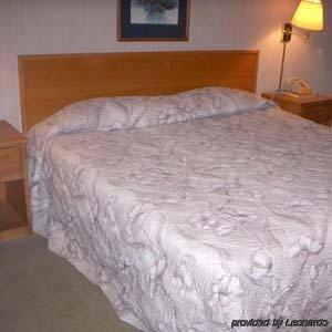 Princess Motel Мерівілл Номер фото